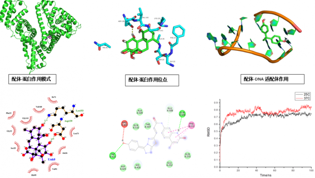 我测试的第一个WorldPress文章